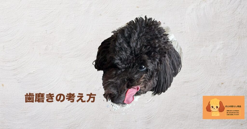 犬の歯磨きの考え方のサムネイル