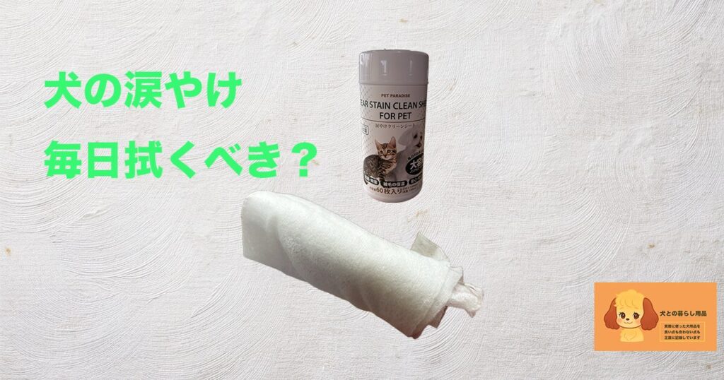 犬の涙やけ、毎日拭くべき？のサムネイル