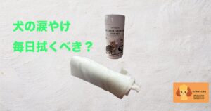 犬の涙やけ、毎日拭くべき？のサムネイル