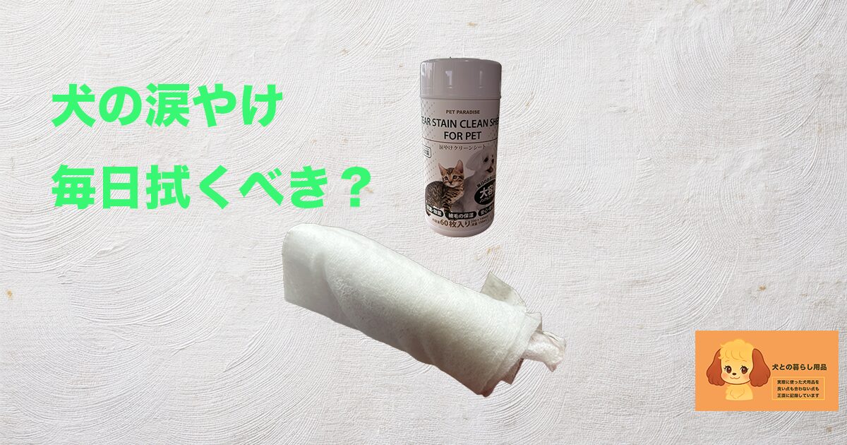 犬の涙やけ、毎日拭くべき?のサムネイル